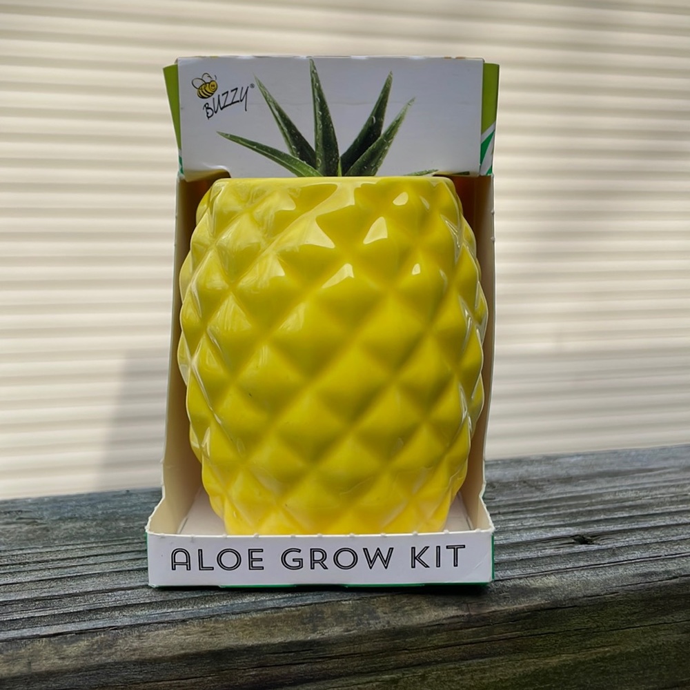 ⚜️Buzzy Pineapple Aloe Vera Grow Kit! NWT!